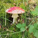 5 Star In Hadsund 펜션 Øster Hurup
