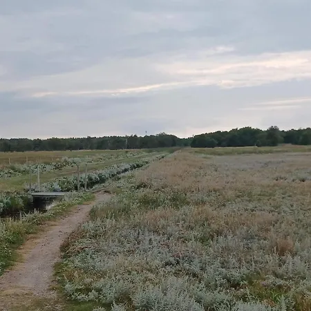 6 Person In Hadsund-by Traum *