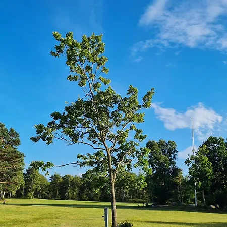 Tatil Evi 6 Person In Hadsund-by Traum