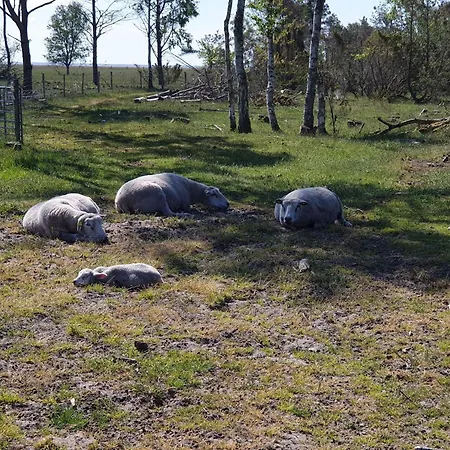6 Person In Hadsund-by Traum * Øster Hurup