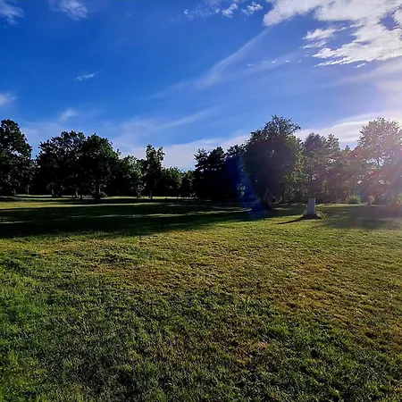 Tatil Evi 6 Person In Hadsund-by Traum Øster Hurup